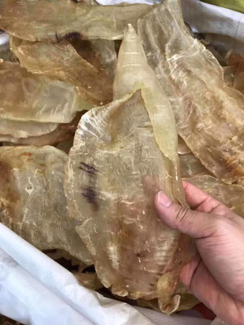花胶，原装尖尾胶囗感胶质好