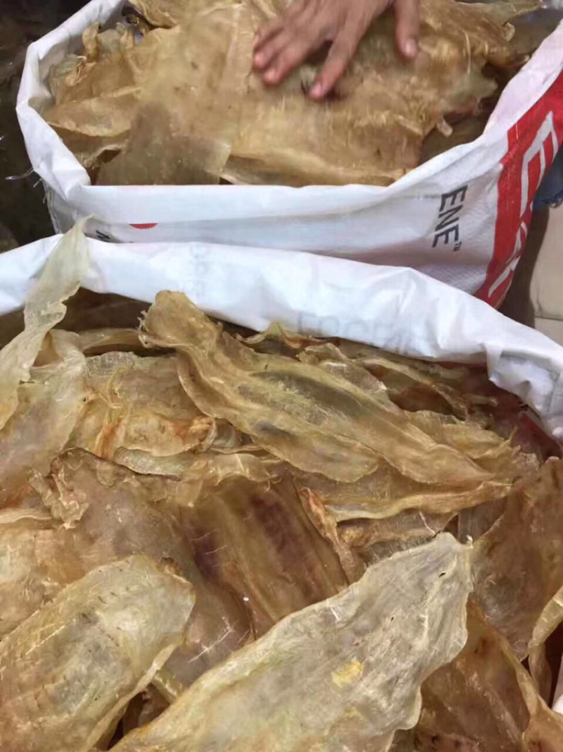 花胶，原装尖尾胶囗感胶质好8～10头
