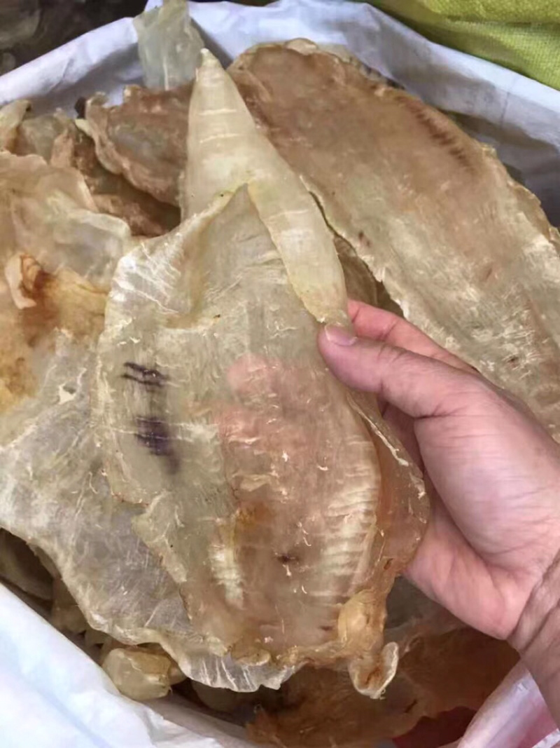 花胶，原装尖尾胶囗感胶质好8～10头