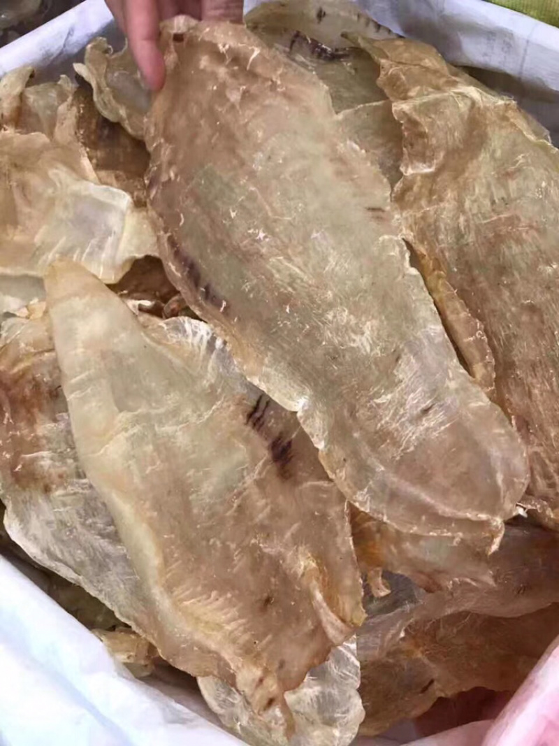 花胶，原装尖尾胶囗感胶质好8～10头