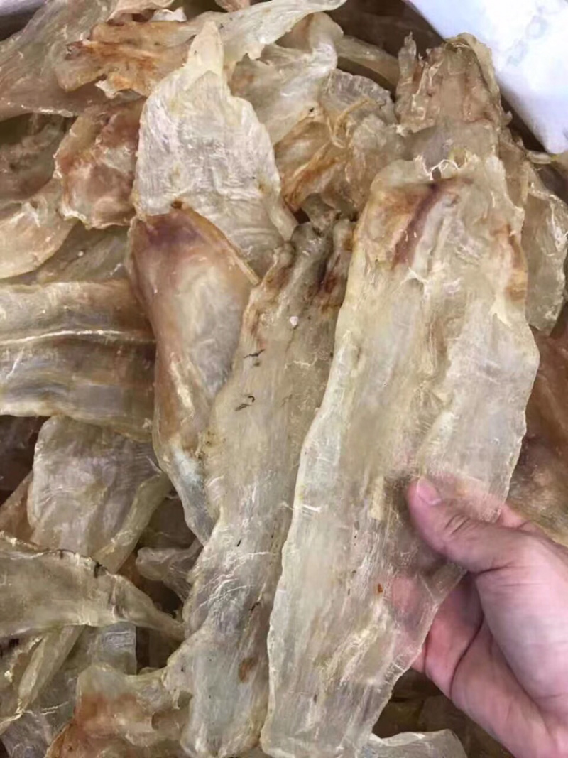 花胶，原装尖尾胶囗感胶质好8～10头
