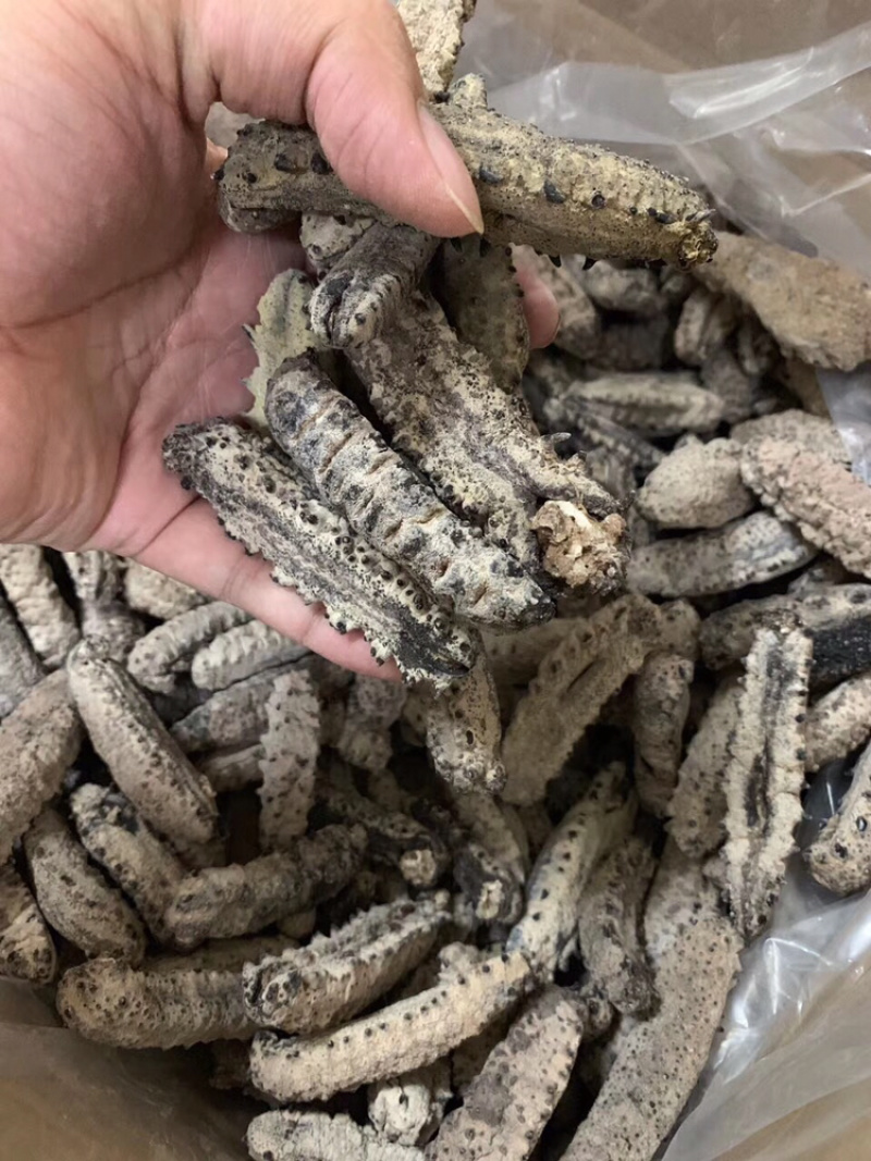 海参古巴南美参统货没烂货足干