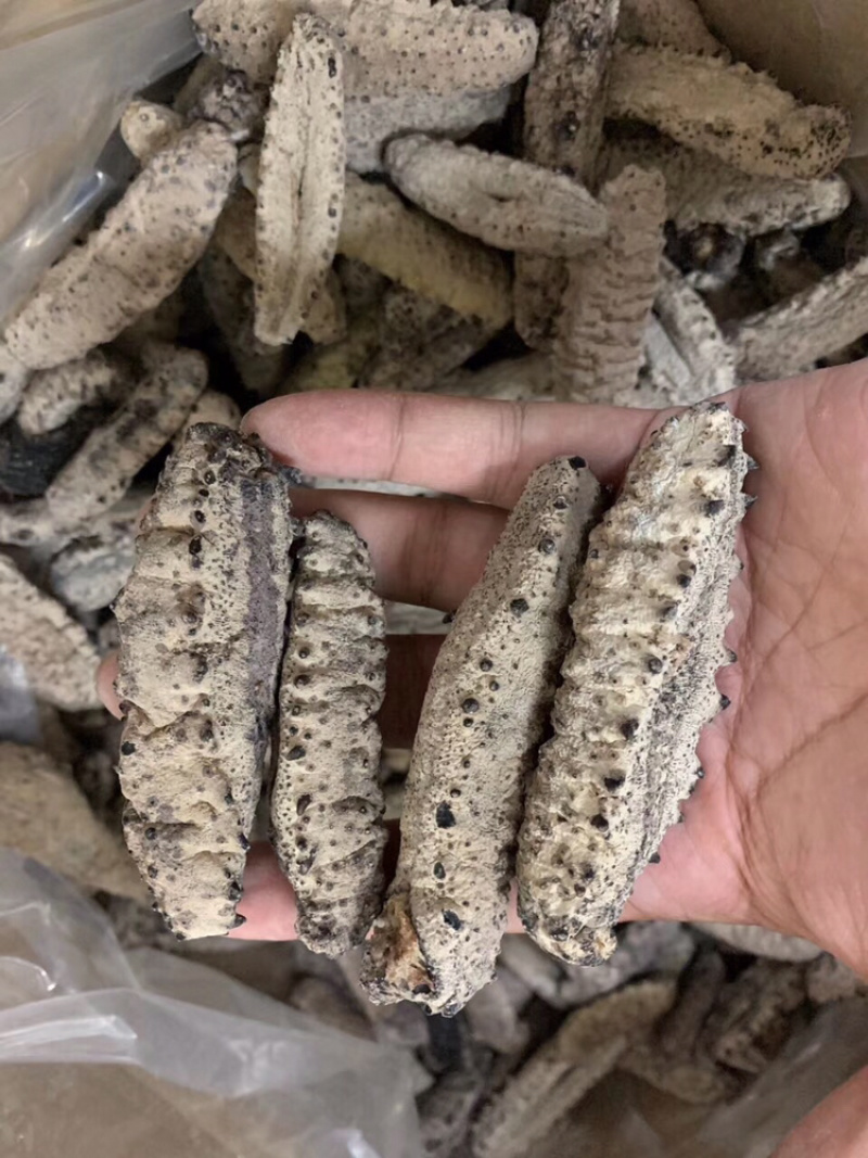 海参古巴南美参统货没烂货足干