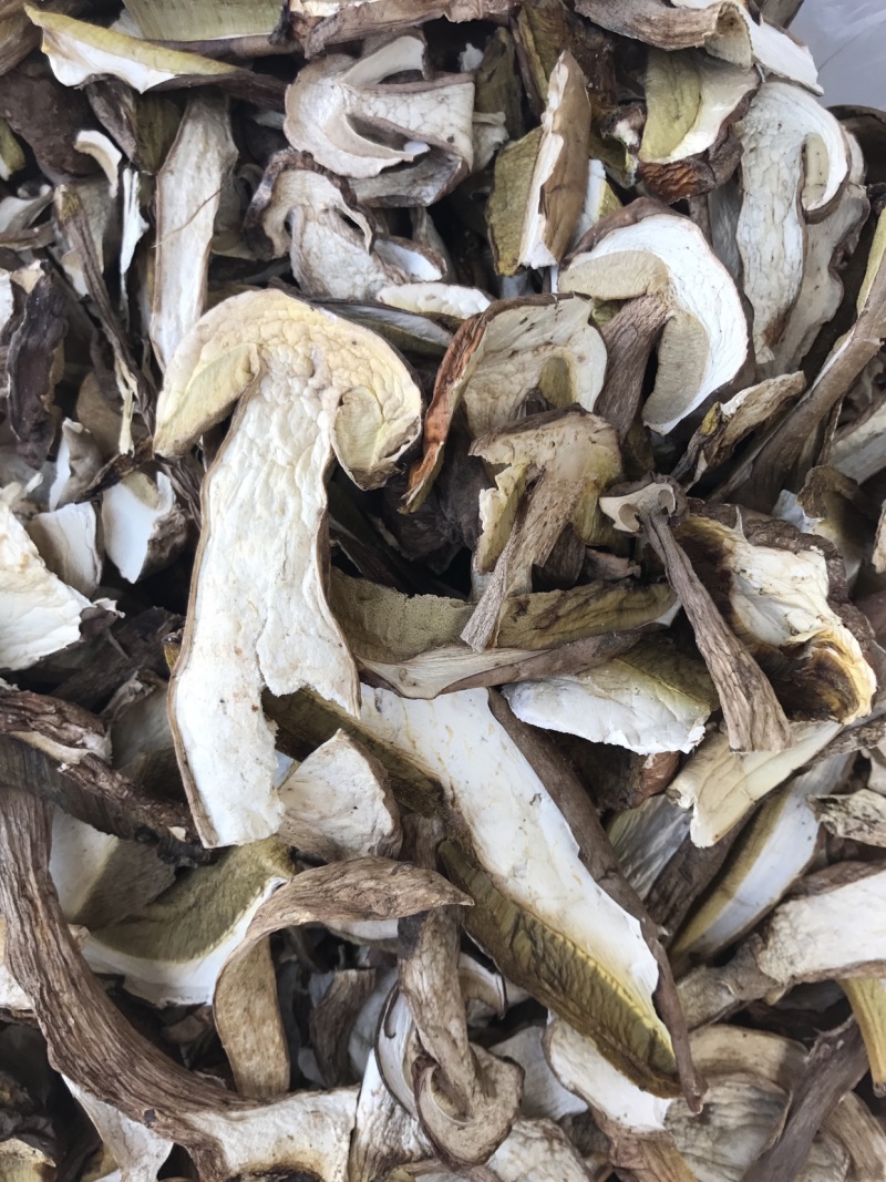 24年新货美味牛肝菌干片野生食用菌干货白牛肝