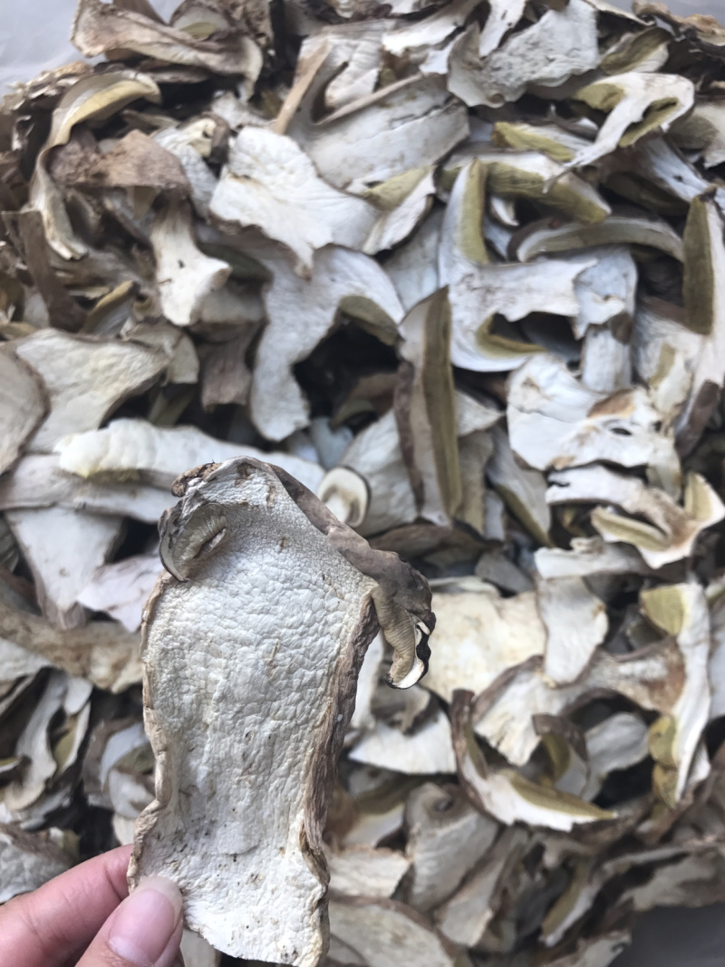 24年新货美味牛肝菌干片野生食用菌干货白牛肝