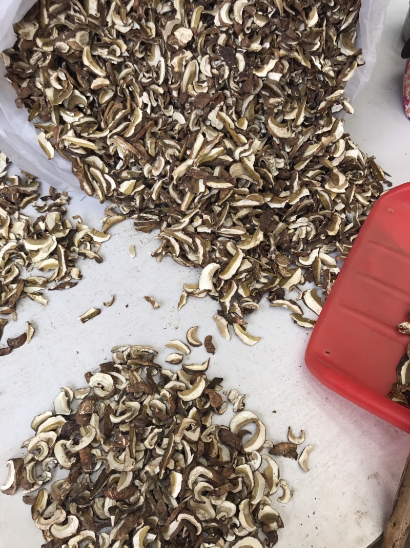 24年新货美味牛肝菌干片野生食用菌干货白牛肝