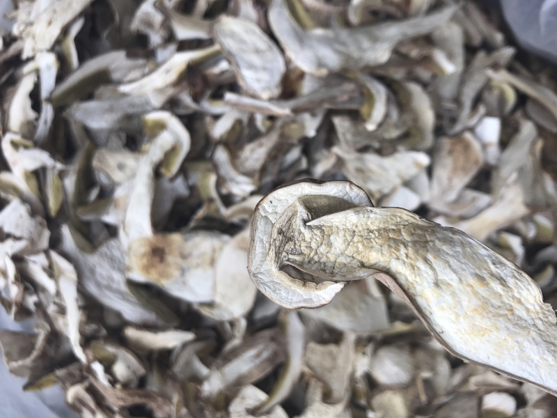 24年新货美味牛肝菌干片野生食用菌干货白牛肝