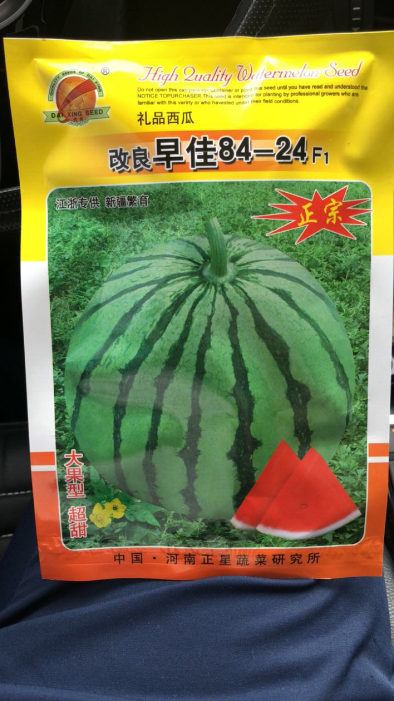 新一代8424西瓜种瓜菜种特大果型，产量高超甜