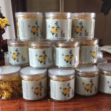 云南花茶丽江玉龙雪山巫鲁菊