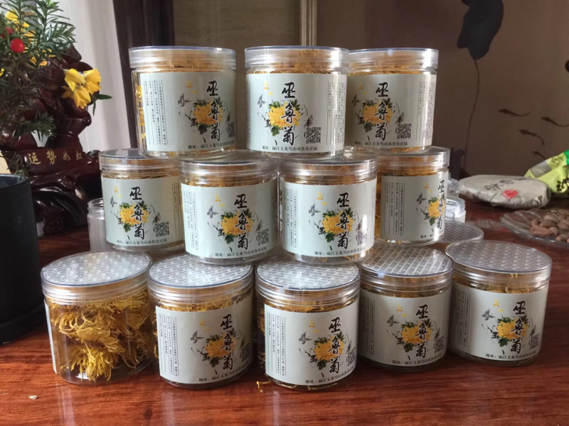 云南花茶丽江玉龙雪山巫鲁菊