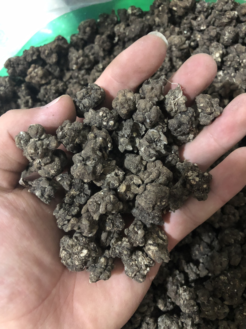 【舜波中药材】猫爪草量大从优
