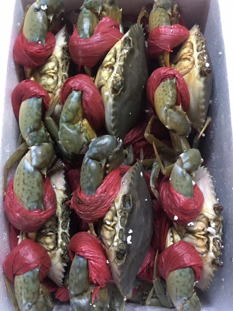 当季菜蟹，量大管饱，一手货源，自产自销