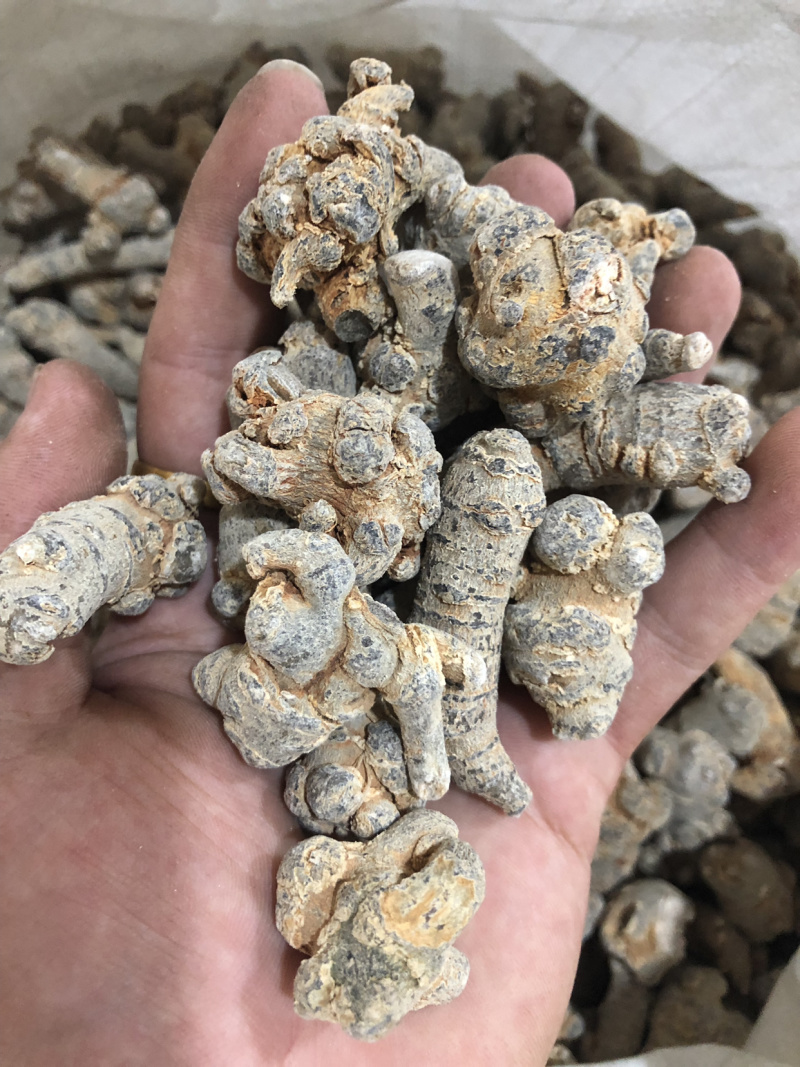 【三七】三七各种规格产地直供量大从优