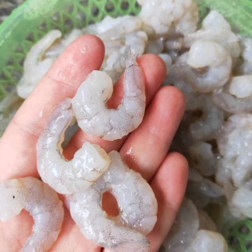 虾仁批发鲜虾仁批发