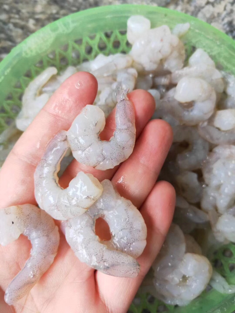 虾仁批发鲜虾仁批发