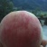 四川省、棉阳市、平武县、响岩镇、