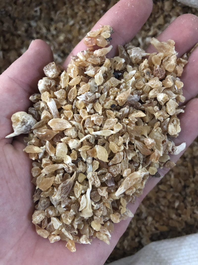 【薤白】薤白干货量大从优物美价廉