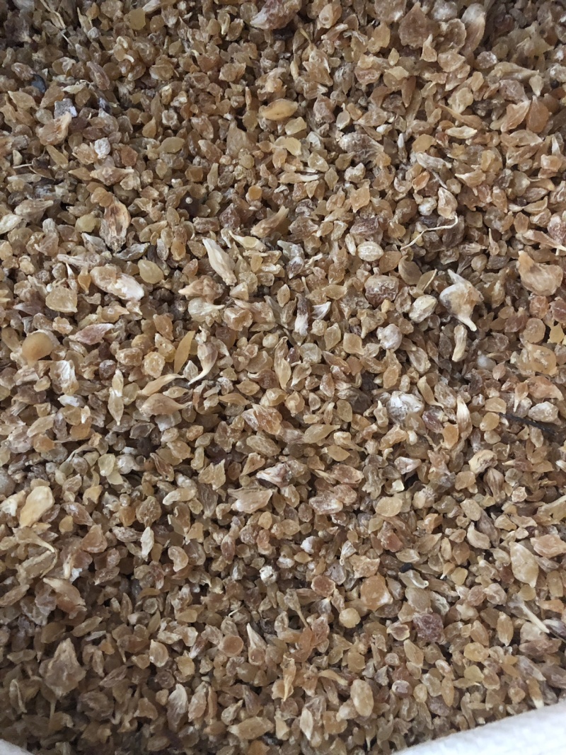 【薤白】薤白干货量大从优物美价廉