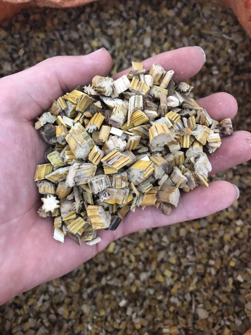 【舜波中药材】药用草石斛产地直供量大从优