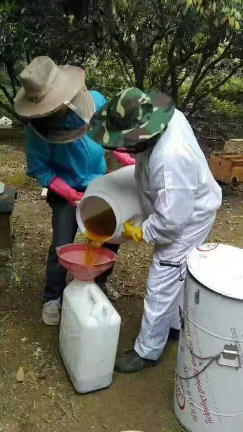 蜂蜜，全国招代理