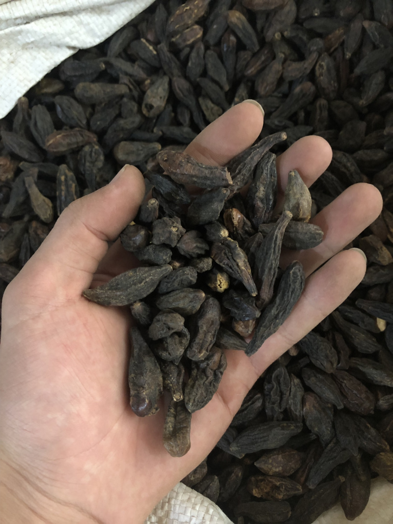 【舜波中药材】西青果无虫蛀量大从优