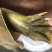 精品甲鱼湖北甲鱼一手货源1-4斤规格齐全