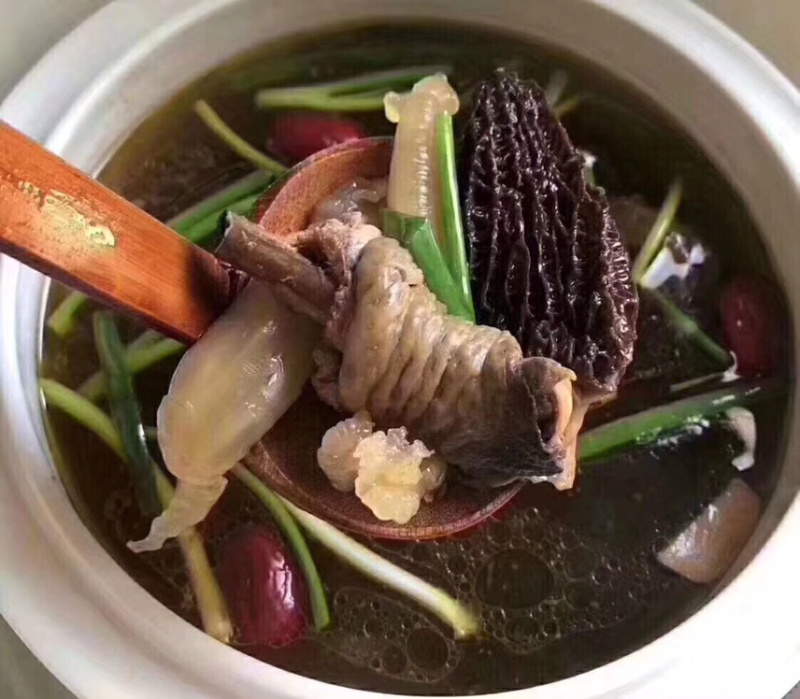 羊肚菌