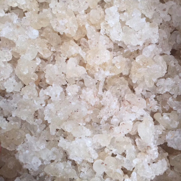 缅甸拉丝雪燕
