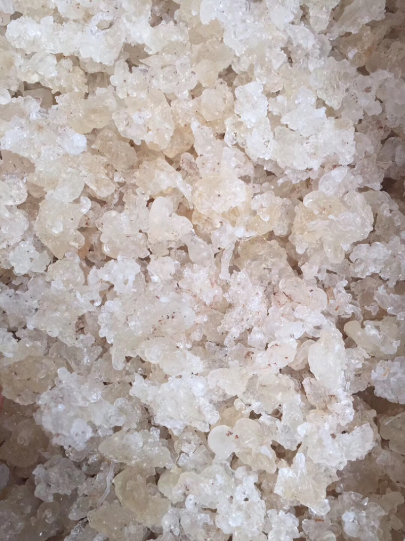 缅甸拉丝雪燕