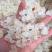 缅甸拉丝雪燕