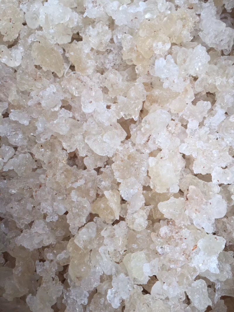 缅甸拉丝雪燕