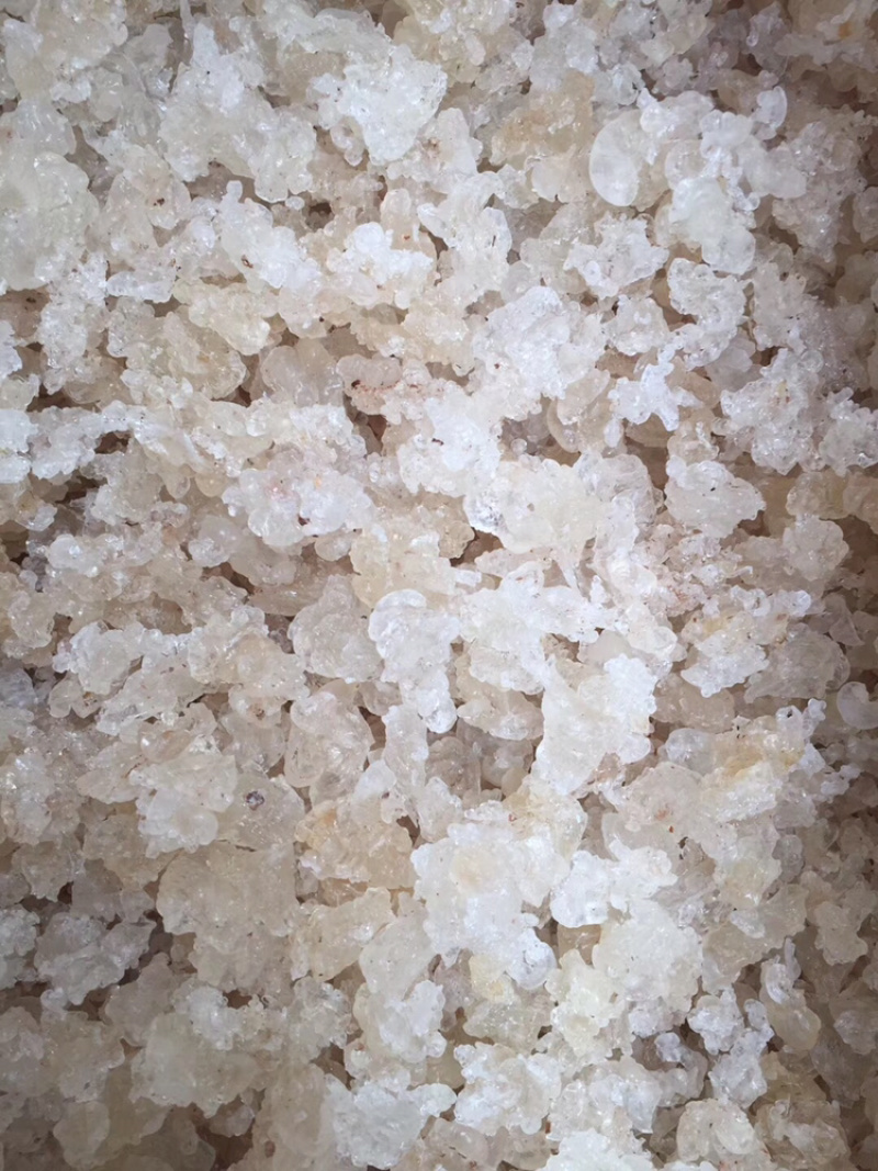 缅甸拉丝雪燕