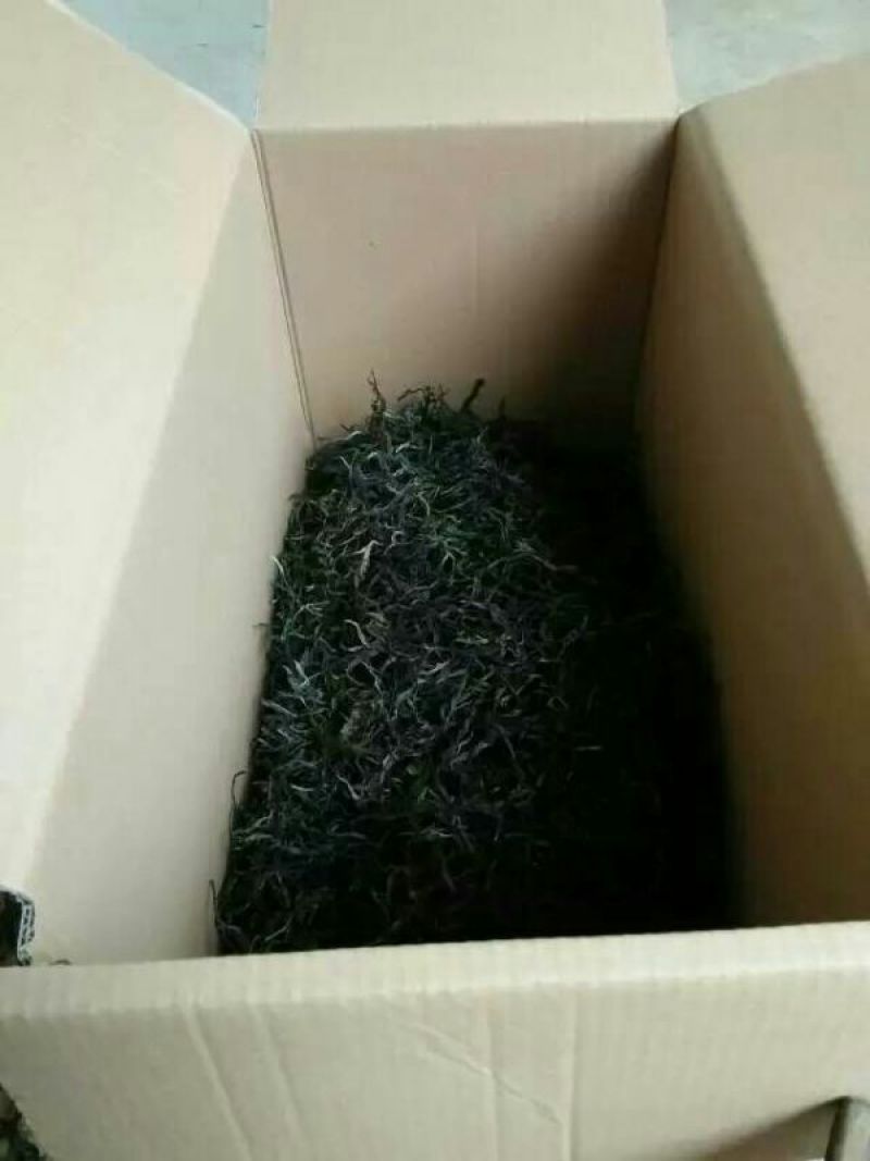百年大树茶