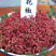 鲜花椒