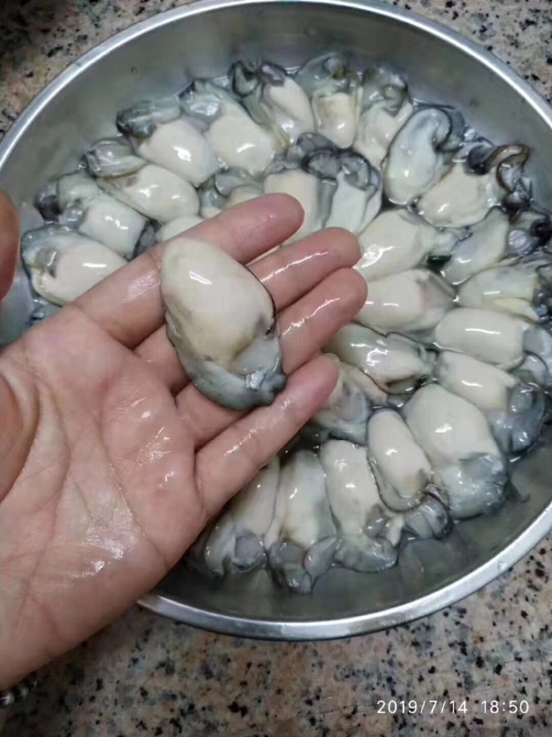 生蚝肉鲜活现剥牡蛎肉去壳海蛎子肉批发每天新鲜