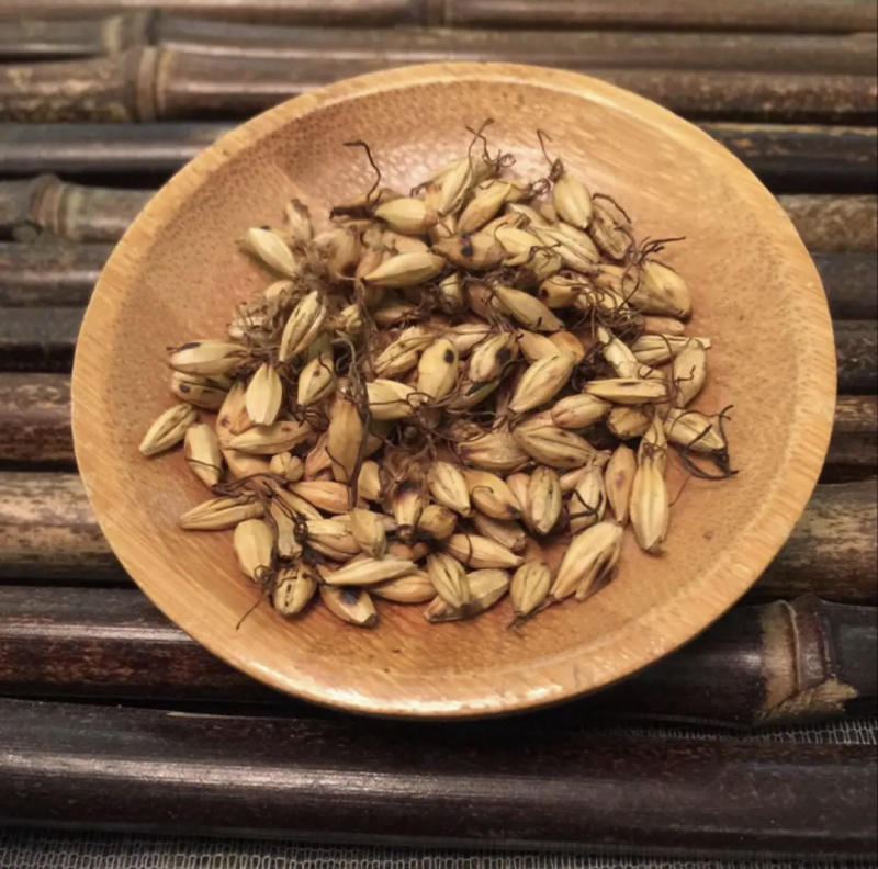 【炒麦芽】炒麦芽量大从优物美价廉产地直供