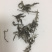 艾叶颜色青野生小叶艾