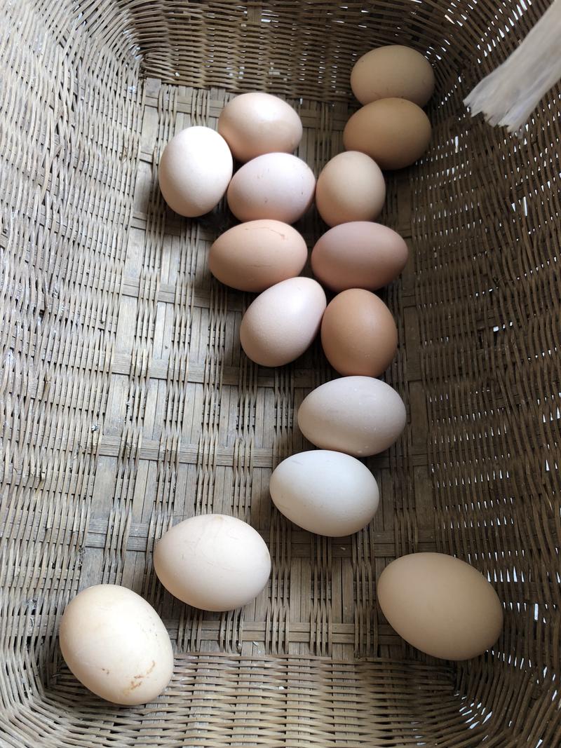 【有好货】土鸡蛋新鲜鸡蛋百姓一手货源质量保证