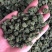 三七花云南文山产地批发三七花500克起
