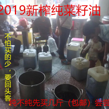 纯菜籽油压榨菜油2019农家自榨非转基因纯菜籽油