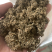 艾草种子食用药用野生草艾绒香驱蚊四季种青蒿艾蒿艾