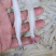 8—10cm的淡水大银鱼