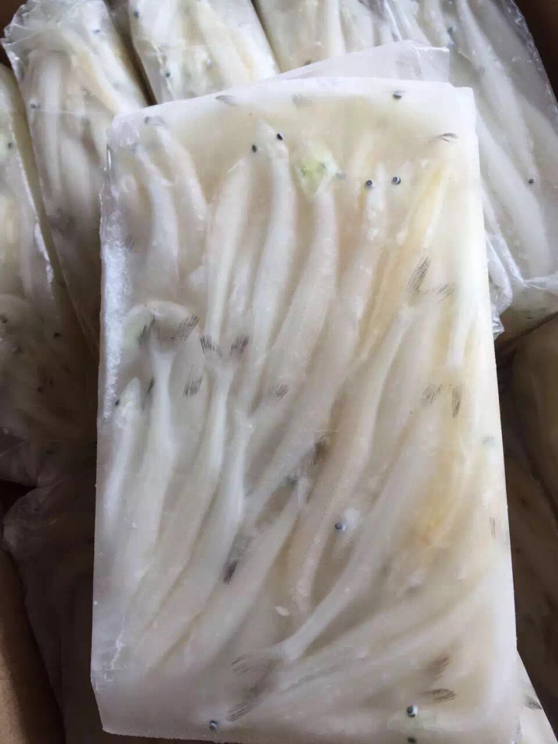 8—10cm的淡水大银鱼
