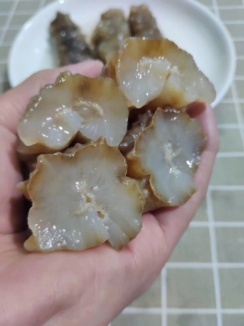 海参黄玉参黄肉参白玉参黄玉海参干货酒店专用海参滋补佳品