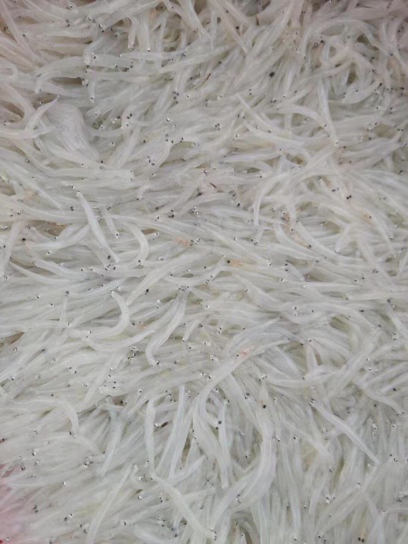 水库产鲫鱼，鲜货速冻，去鳞去鰓去内脏，规格齐全