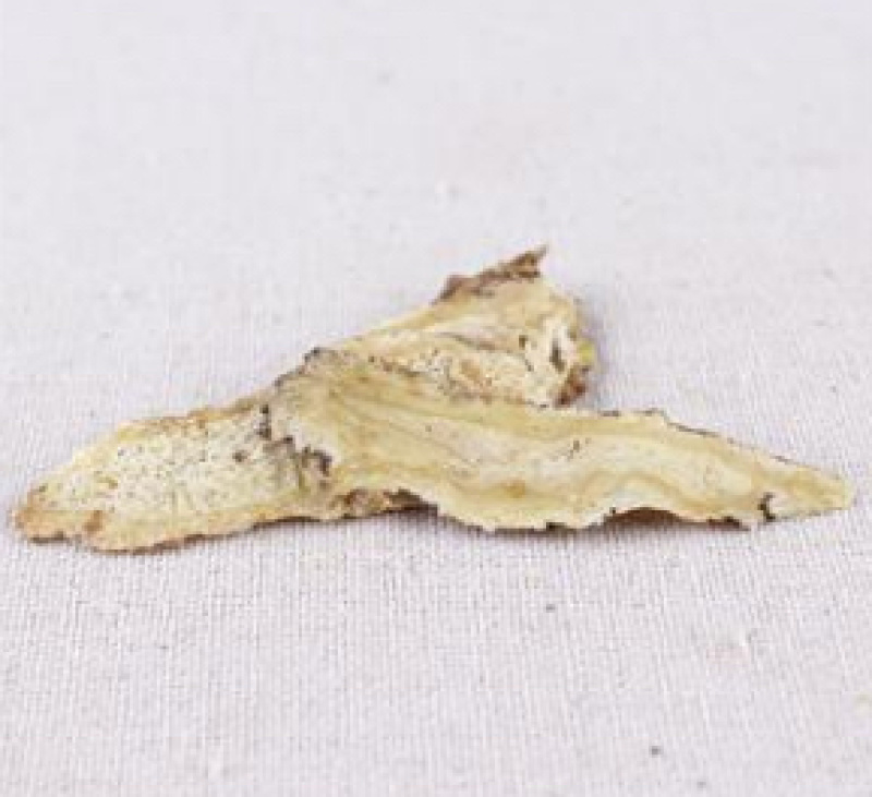 【舜波中药材】精品上等低硫大片当归产地直供