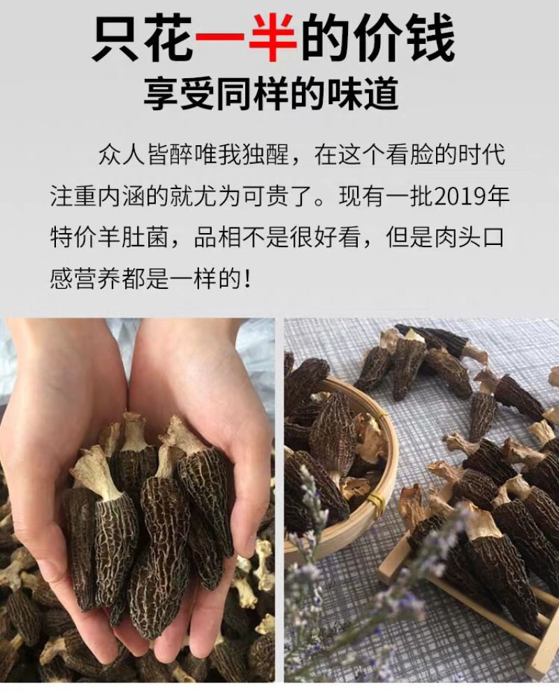 2022新货特价促销6公分以上羊肚菌尝鲜价30g