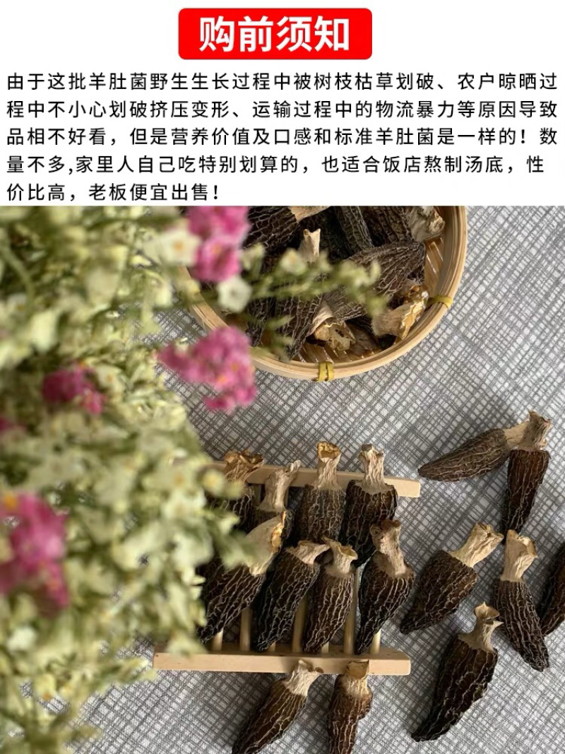 2022新货特价促销6公分以上羊肚菌尝鲜价30g