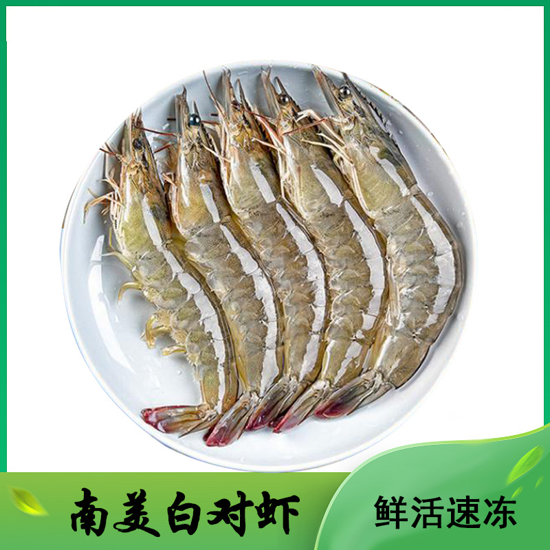 水冻南美白对虾厂家大量供应