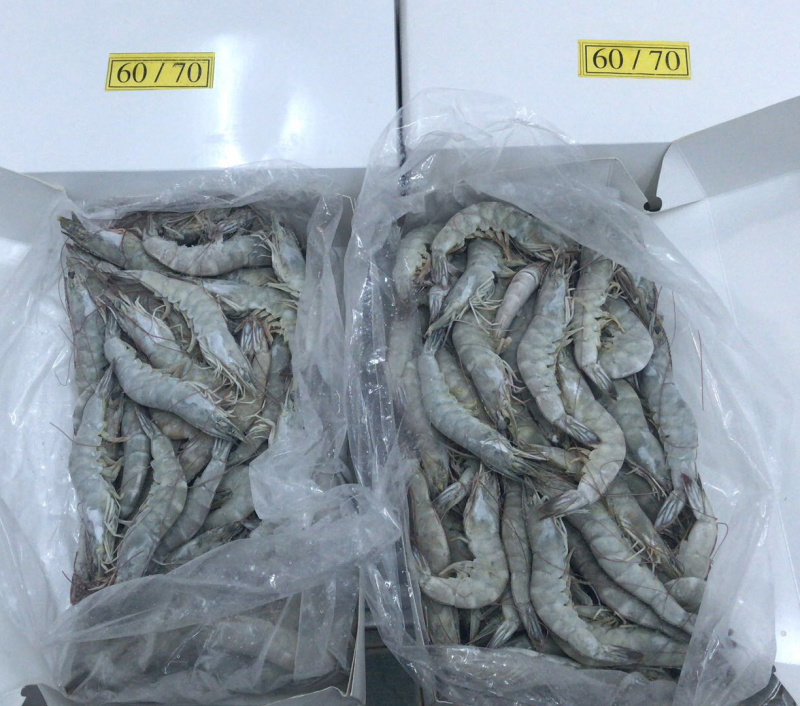 水冻南美白对虾厂家大量供应